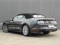 tweedehands Ford Mustang GT Convertible 5.0 V8 * 422 PK * EYE-CATCHER !!