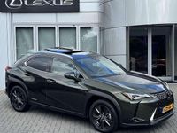 Occasion Lexus UX 250h Luxury Line 184 PK (135 kW) 2022 Groen SUV