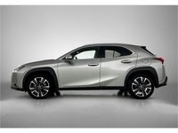 Occasion Lexus UX Business Edition 184 PK (135 kW) 2020 Grijs SUV