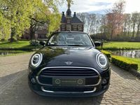 tweedehands Mini Cooper Cabriolet 1.5 Business Ed. | Navi | Harman/Kardon | 17 Inch