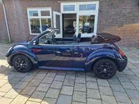 tweedehands VW Beetle NewCABRIOLET 1.6 Highline | Onderhouden