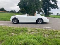 Occasion Jaguar XK 1957 Wit Cabriolet
