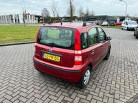 tweedehands Fiat Panda 1.1 Active Plus