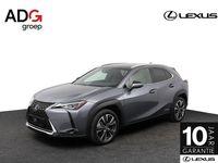 Occasion Lexus UX Business Edition 184 PK (135 kW) 2019 Grijs SUV