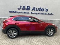 Afbeelding 3