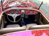 Occasion MG 1600 80 PK (58 kW) 1961 Rood