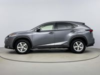 tweedehands Lexus NX300h AWD Luxury Line Limited