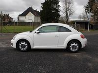 tweedehands VW Beetle (NEW) Design