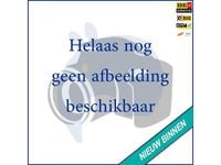 Occasion Ford Fiesta 95 PK (69 kW) 2021 Blauw Hatchback