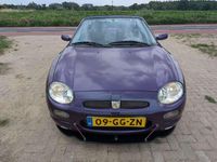 Afbeelding 3