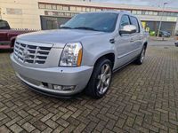 tweedehands Cadillac Escalade luxury EXT pick-up