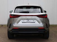 tweedehands Lexus NX350h AWD Executive Line | Head-Up | 360 Camera | Stoelv