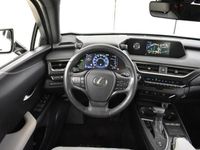 tweedehands Lexus UX 250h Business Edition | Navi | Stuur- & stoelverwarming