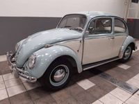 Occasion VW Beetle 1965 Blauw Hatchback