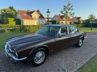 Occasion Jaguar XJ 172 PK (126 kW) 1979 Bruin Sedan