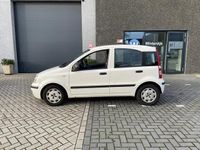 tweedehands Fiat Panda 1.2 Active l 5-Deurs l Wit l Nap l Nieuwe Apk