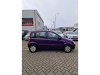 tweedehands Fiat Panda 1.2 Edizione Cool NETTE STAAT/NAP/APK/LAGEKM