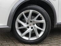 Occasion Cupra Formentor 2022 Wit SUV