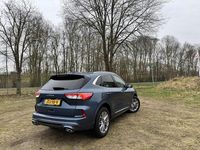 Occasion Ford Kuga Vignale 2026 Blauw SUV