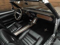 tweedehands Ford Mustang Cabriolet | Gerestaureerd | GT-Look | 1966