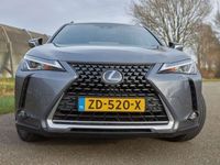 tweedehands Lexus UX 250h 250h Luxury Line