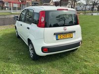 tweedehands Fiat Panda 0.9 TwinAir Ed. Cool