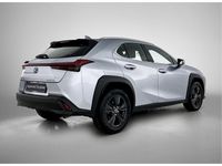 Occasion Lexus UX 184 PK (135 kW) 2024 Grijs SUV