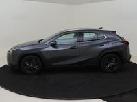 Occasion Lexus UX 184 PK (135 kW) 2024 Grijs SUV
