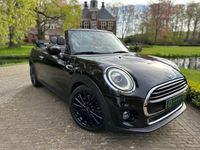 tweedehands Mini Cooper Cabriolet 1.5 Business Ed. | Navi | Harman/Kardon | 17 Inch