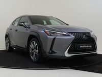 Occasion Lexus UX 250h Business Edition 184 PK (135 kW) 2019 Grijs SUV