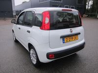 tweedehands Fiat Panda 1.2 NW APK NW DISTRIBUTIE!!