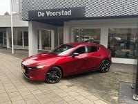 Afbeelding 3