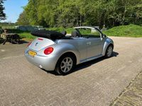 tweedehands VW Beetle NewCabriolet 1.6 Turijn Comfort. Eerste eigenaar !!!