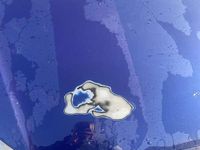 Occasion VW Polo Trendline 54 PK (39 kW) 2006 Hatchback