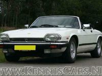 tweedehands Jaguar XJS 1989 V12 5.3 Convertible