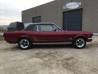 Occasion Ford Mustang 228 PK (167 kW) 1966 Rood