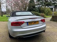 tweedehands Audi A6 Allroad 2.0 TFSI Pro Line