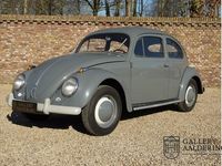 Occasion VW Beetle 1955 Grijs