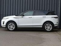 Occasion Land Rover Range Rover evoque R-Dynamic 309 PK (227 kW) 2022 Wit SUV