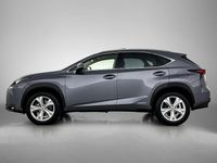 Occasion Lexus NX300h President Line 197 PK (144 kW) 2014 Grijs SUV