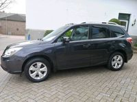 tweedehands Subaru Forester 2.0 Executive