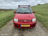 tweedehands Fiat Panda 1.2 Edizione Cool