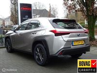 tweedehands Lexus UX 250h Luxury Line