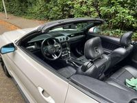 Occasion Ford Mustang GT Performance Edition 310 PK (228 kW) 2018 Wit Cabriolet