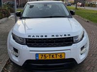 Occasion Land Rover Range Rover evoque Prestige 150 PK (110 kW) 2012 Wit Stationwagen
