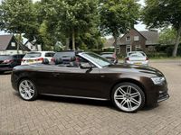 Afbeelding 3
