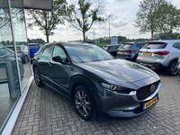 Afbeelding 3