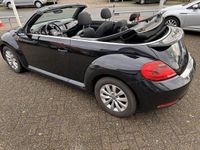 tweedehands VW Beetle (NEW) Cabriolet 1.2 TSI Design BlueMotion, navi, clima, cruise, 2 x PDC, nw distributieketting.