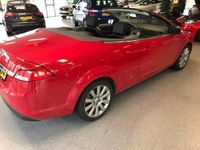 tweedehands Ford Focus Cabriolet Coupé- Automaat 2.0 Titanium