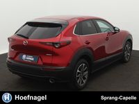 Afbeelding 2